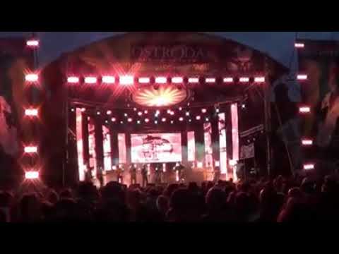 Dr Ring Ding The Needle Clean Edit 240 x 426