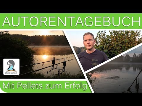 Karpfenangeln mit Pellets und Boilies im Hochsommer l Autorentagebuch l 2018