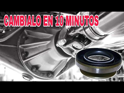 How to replace a differential yoke seal on a Nissan, Toyota, Isuzu, Mitsubishi, Kia, Ford, Honda,...