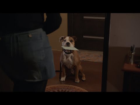 Lucy Gets a Birthday Card From Kojo - The Rookie