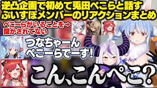 ホロライブの逆凸企画で初めてぺこーらと話した時のぶいすぽメンバーのリアクションまとめ【兎田ぺこら/ラプラス・ダークネス/花芽すみれ/神成きゅぴ/猫汰つな/切り抜き】