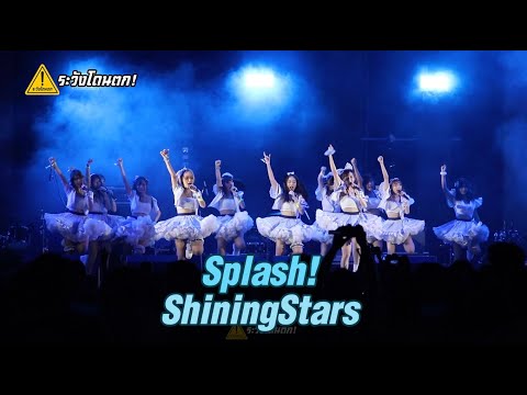 Splash! - ShiningStars | Cat Expo 7 #ระวังโดนตก !