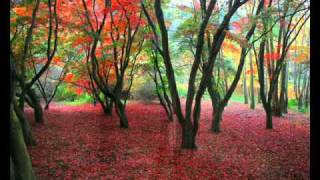 A Version of Thrice All American by Neko Case