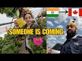 INDIA SE KOI AA RAHA HAI | PLANT SHOPPING