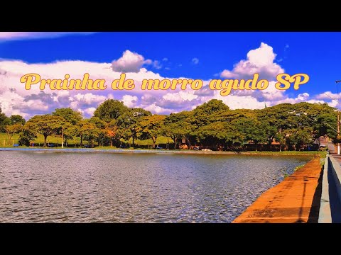 Morro agudo SP região de Ribeirão Preto,a lagoa no centro de lazer da cidade 