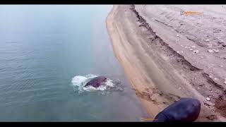 Download lagu A HIDDEN ZIMBABWE 🇿🇼 TOURING beyond ADVENTURE UNseen WILD SIDE-Showreel ❣️❣️❣️🇿🇼 mp3