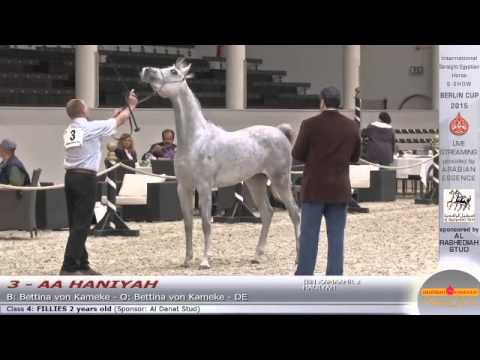 N.3 AA HANIYAH - Berlin Cup S-Show Werder 2015 - Fillies 2 years old (Class 4)