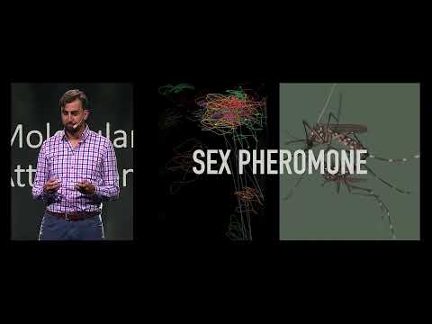 Norrsken Impact Accelerator l Demo Day: Molecular Attraction