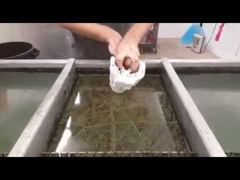 Alligator Head in Camo