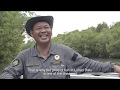 Lahad Datu Mangrove Forest Reserve