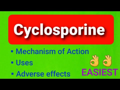 Cyclops Cycloserine 250mg Capsule, Packaging Size: 1x10