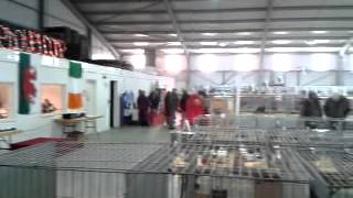 preview picture of video 'The Welsh National Poultry Show weekend 12th -13th January 2013'