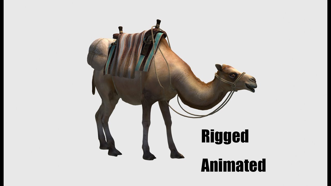 Animated camel luggage 3D Model