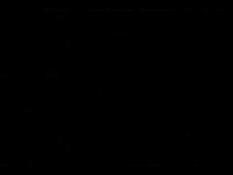 Birthright 2006! 2/4