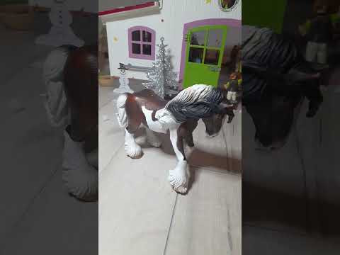 Small vs big? #horse #horses #kon #konie #newyear #merrychristmas #schleisch #happyholiday #2023