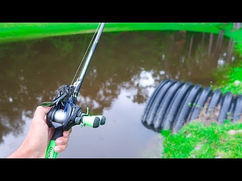Catching GIANT Bass on BIG WORMS (Bank Fishing) Video