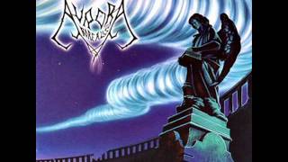 Aurora Borealis -  Sky Dweller