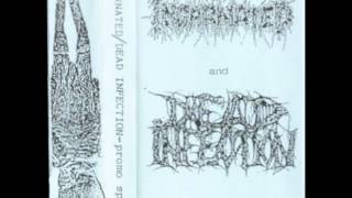 Dead Infection (Incarnated Split) w/ Lyrics