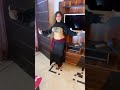 Indian Belly Dancer Shivangi Sharma Belly Dance Trending Dance Belly Dance Master