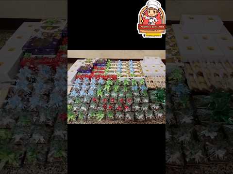 Ongoing Christmas Feast 🎄 Today's bulk order 🎁🎁🎄 FOR ORDER WHAT'SAPP 📞:9626489838#christmasplumcake