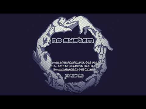 Hydrophonic 30 - No System - B - DJ Kyem - Malaka kids