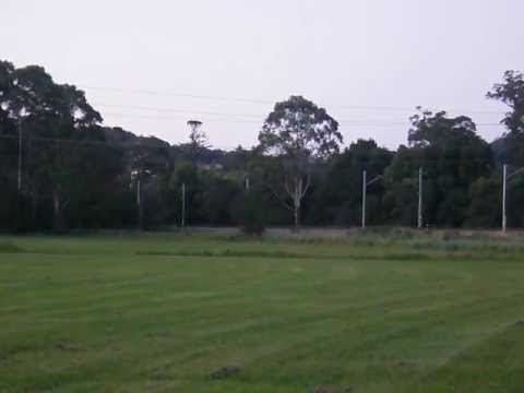 CEY's on SSR Coal Tain