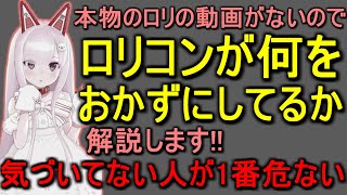 【女子や女子の親は注意】ロリコンの解説をするおじほしちゃん【なまほしちゃん/切り抜き】