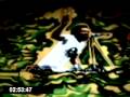 Roy Ayers - Running Away (12 inch long version ...