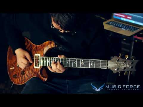 PRS Wood Library McCarty Trem Limited Demo