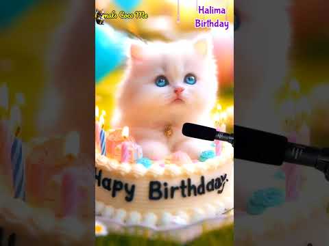 HAPPY BIRTHDAY TO YOU HALIMA | HAPPY BIRTHDAY SONG WITH NAMES | Adorable Cute Cat 😺 #cat #cute