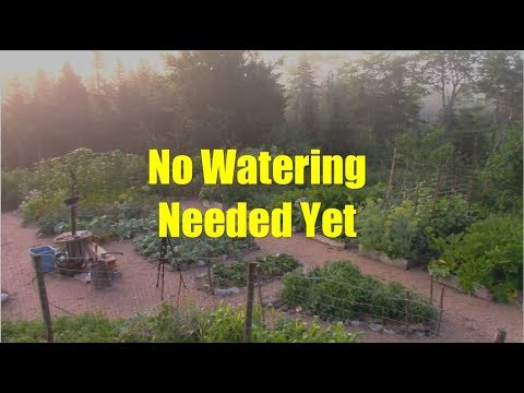 Garden Tour, August 9, 2019