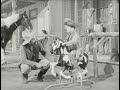 1962 Mattel Blaze The Talking Galloping Horse