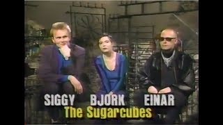 The Sugarcubes under the 120 X-ray (1989)