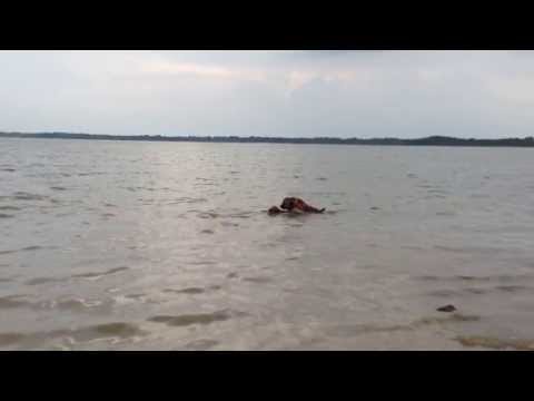 Simba Ruffles @ Lake Lavon