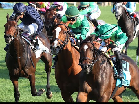 First Lady Stakes (G1) 2021