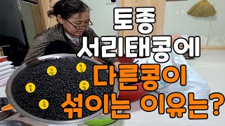 토종콩이라도 다른콩과 섞이는 이유는??