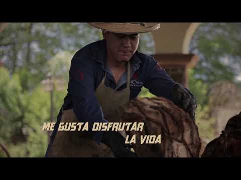 Banda Guasaveña de Valentín Elizalde - Me Dieron Ganas De Tomar (Video Lyric)