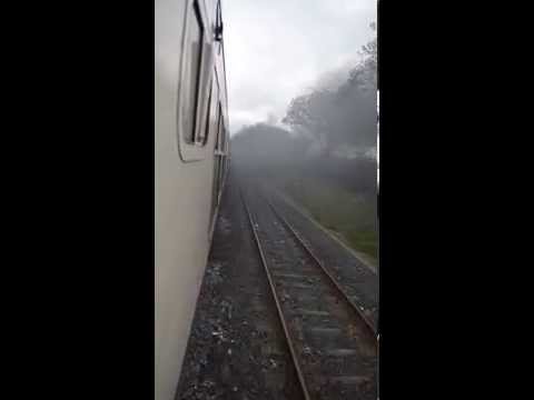 RPSI No.461 Passing Through Carraigtwohill With The South Munster Railtour [HD].