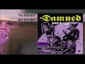 8. Neverland (The Damned Ape Fan Mix)