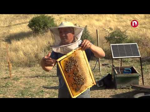 Zəhmətkeş - 15.08.2024