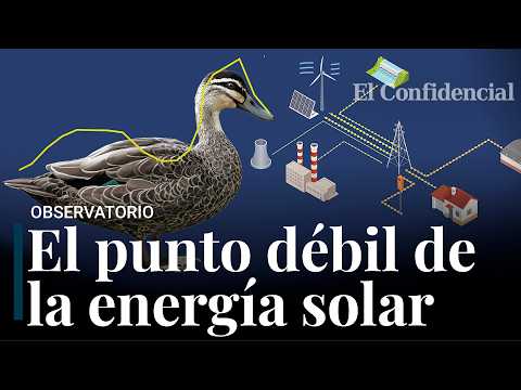 De la curva del pato a las baterías inteligentes: el gran desafío de la energía fotovoltaica
