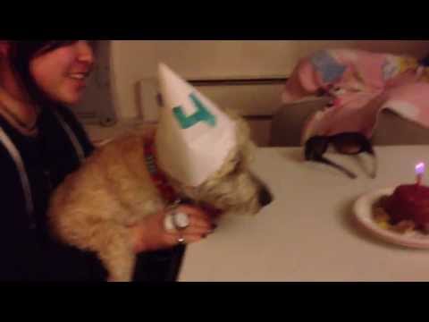 Happy Birthday Kona!!