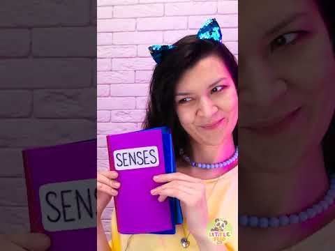 🎨 PRETTIEST Sensory Book I EVER Made! 🌈😍 #kids #play