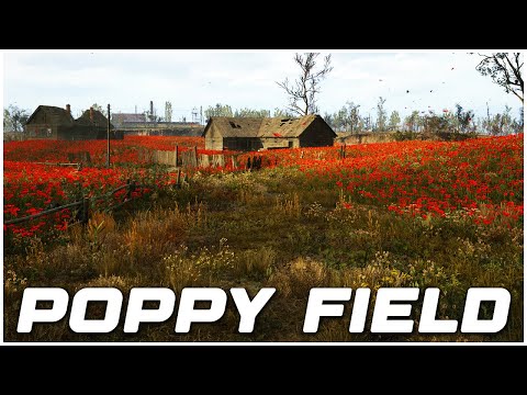 Stalker 2 How to Get the Legendary Artifact in the Poppy Field (Weird Flower)