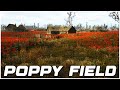 Stalker 2 How to Get the Legendary Artifact in the Poppy Field (Weird Flower) - Born 2 Game Stalker 2 How to Get the Legendary Artifact in the Poppy Field (Weird Flower)