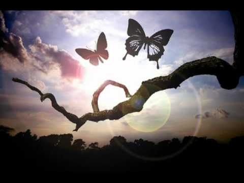 Lucky Dreamer - Marty Filler