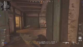 COD VANGUARD配信
