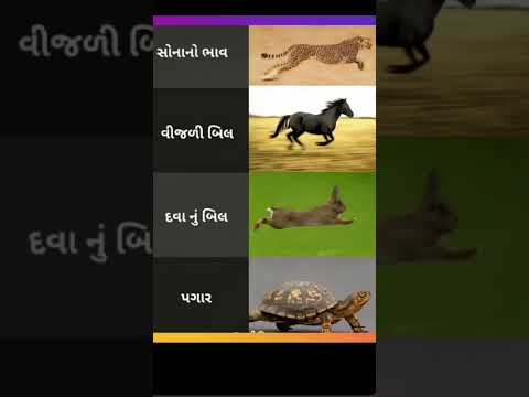 Bhavya bhav 🤣🤣