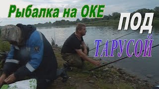 Рыбалка на оке под тарусой