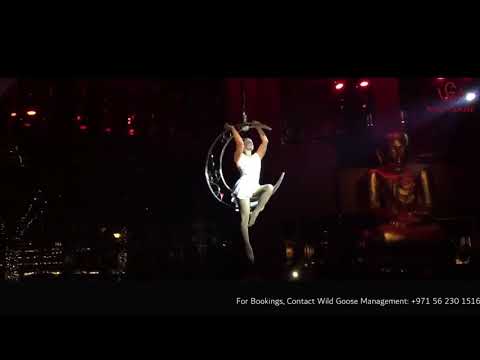 Aerial Moon Acrobat - Wild Goose Management